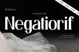 Negatiorif Personal Use Font