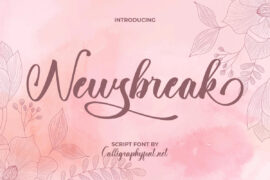 Newsbreak Demo Font