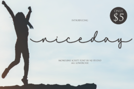 niceday Font