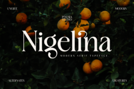 Nigelina Demo Font