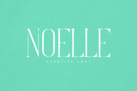 Noelle Font