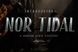 Nor Tidal Personal Use Font