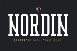 Nordin Slab Demo Font
