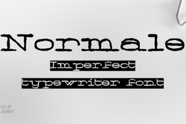 Normale Personal Use Font Family