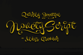 Novety Script PERSONAL USE ONLY Font