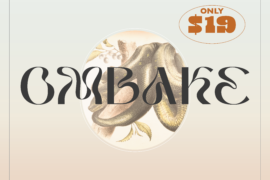 Ombake Font