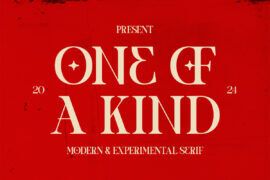 One of a kind | Lite Edition Font