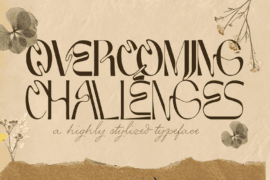 OVERCOMING CHALLENGES DEMO Font