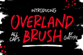 Overland Brush Font Family