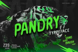 Pandry Font