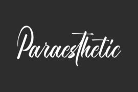 Paraesthetic Demo Font