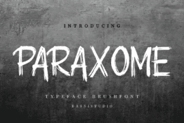 PARAXOME Font