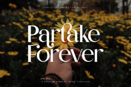 PartakeDemo Font