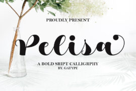 Pelisa Font