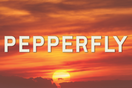 Pepperfly Font