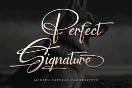 Perfect Signature – Personal us Font