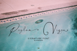 Peylon Viggo Font