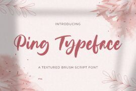 Ping Typeface Font
