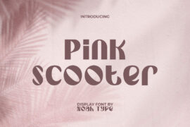 PinkScooterDemo Font