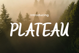 PLATEAU Font