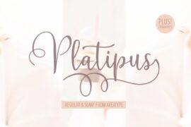 Platipus Font Family