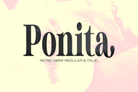 Ponita Serif Font