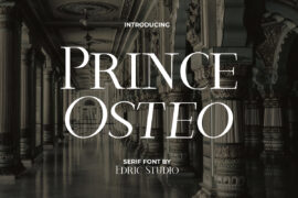 Prince Osteo Demo Font Family
