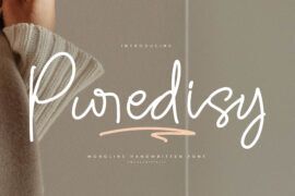 Puredisy DEMO VERSION Font Family