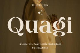 Quagi Font