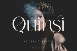 Quinsi Font