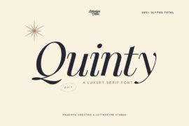 Quinty Demo Font Family