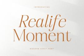 Realife Moment DEMO VERSION Font Family