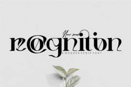 recognition demo Font