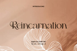 Reincarnation Demo Font