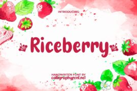 RiceberryDemo Font