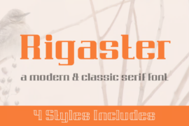 Rigaster Demo Font Family