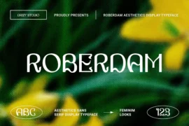 Roberdam Font
