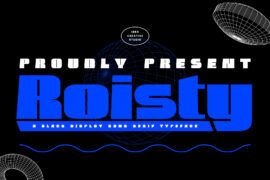 Roisty Personal Use Font