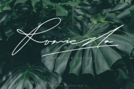 Romieda Font