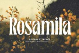 Rosamila Font Family