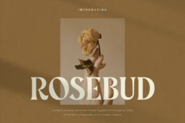 Rosebud Font