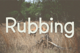 Rubbing Font