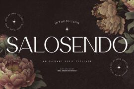 Salosendo Personal Use Font