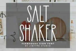Salt Shaker DEMO Font
