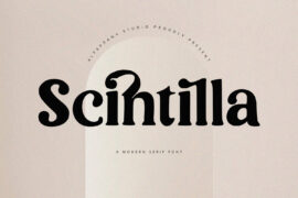 Scintilla Font