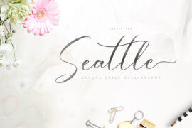 Seattle Script Font