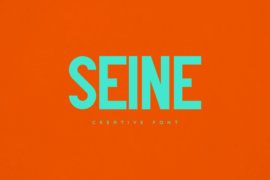 Seine Font