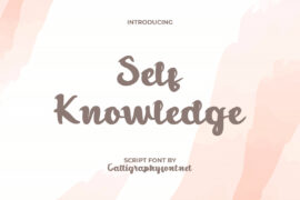 SelfKnowledgeDemo Font
