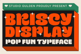 SG Briscy Font