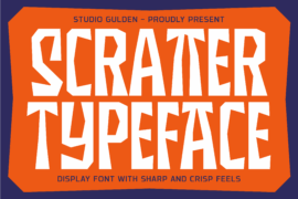 SG Scratter Font Family